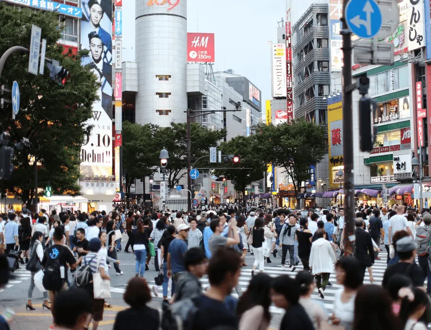 深厚的專業在地知識，值得信賴